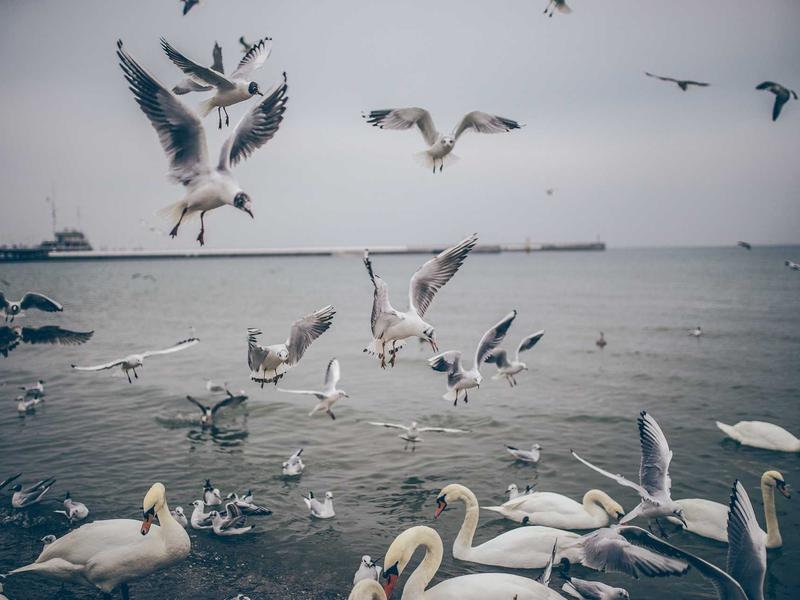 乐鱼直播网，体育迷的最爱